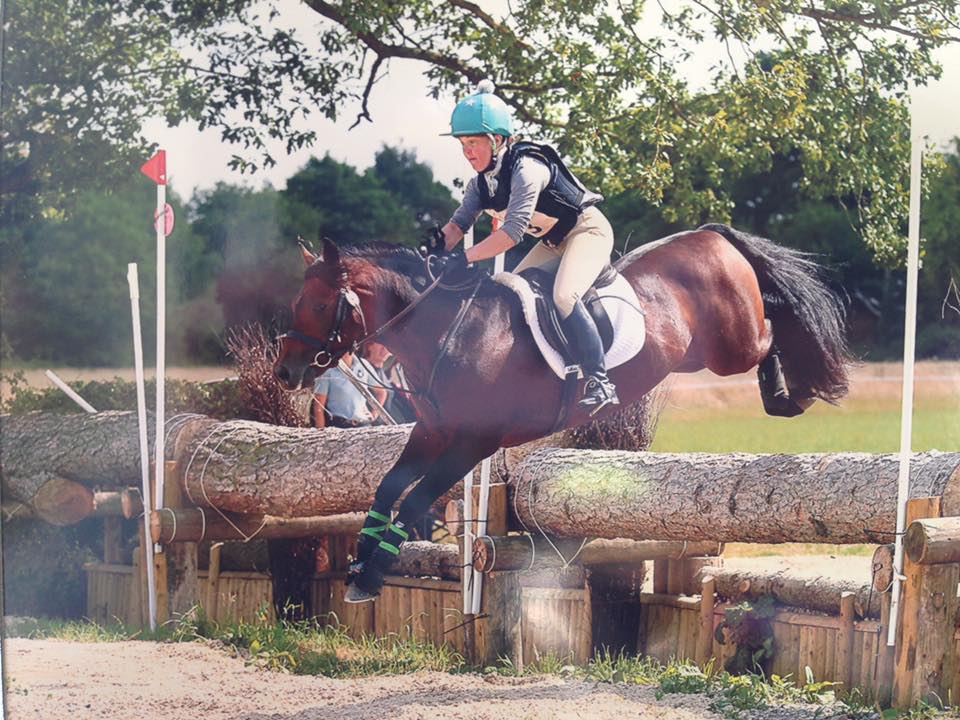 Willoway Free Spirit - New Forest Stallion